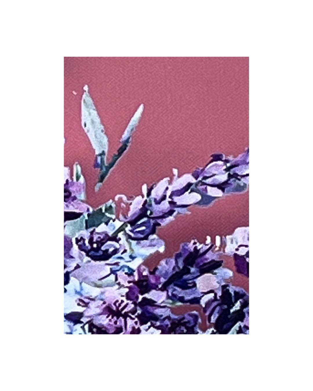 Clear Case Lavendel Dreams Edition Samsung